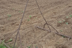 20170505_143642