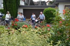 Blumenschmuck 6.8 (17)