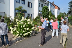Blumenschmuck 6.8 1d